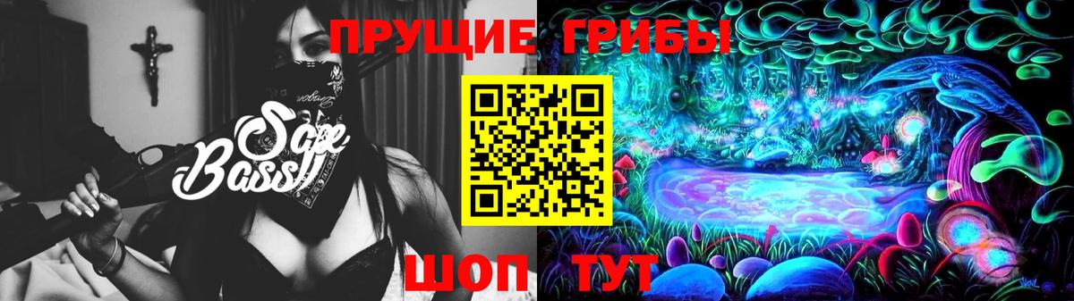 Псилоцибиновые грибы Psilocybe Ртищево
