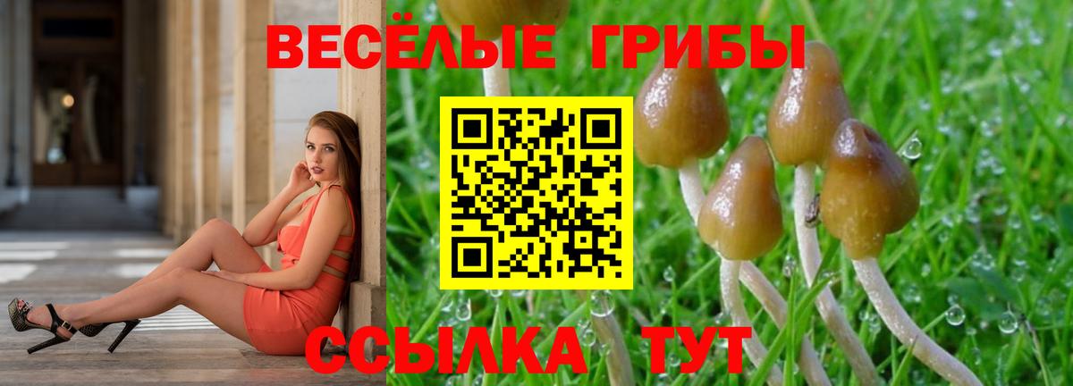 Ртищево  Псилоцибиновые грибы прущие грибы  Вход с VPN 